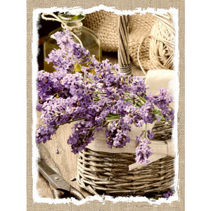 Lavender Basket Canvas Print